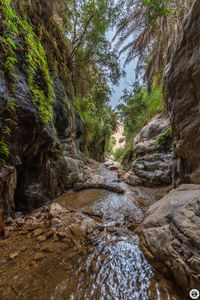 IMG_6669-HDR_Wadi-Wadia&acute;a